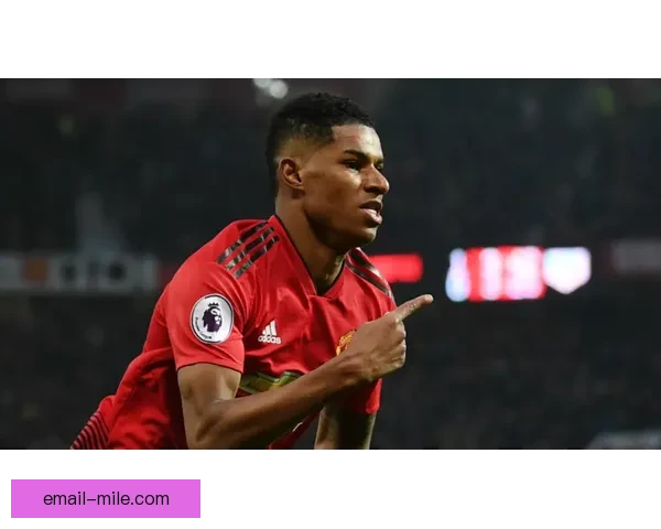 2025夏季转会重磅消息布伦特福德引入法甲锋线新星